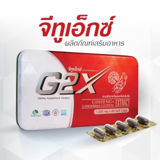logo G2X