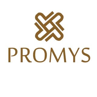 logo Promys